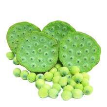 新鲜莲蓬太空洪湖水果莲蓬 莲蓬嫩莲蓬莲子现摘 5斤装（莲蓬）