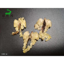 250克雪蛤油膏东北特产雪蛤长白山林蛙油蛤蟆油特产块油线油