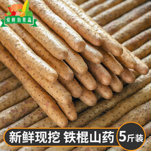 【顺丰-多地隔日达】铁棍山药 正宗河南焦作农家新鲜铁杆怀淮山药 5000g
