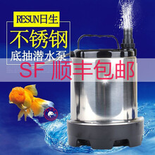 日生水泵 不锈钢低水位底部进水抽水泵企鹅PENGUIN-2400/3200/4500/8500潜水泵 PENGUIN-2400 60瓦