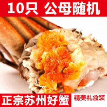 活鲜【冷链运输】大闸蟹鲜活 螃蟹特大公母 现货海鲜镇8 /16只礼盒装 欧登城娜 【公母2.8-2.3两】10只