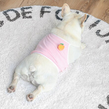 法斗衣服夏季轻薄透气款吊带衫裙子法斗泰迪吊带裙中小型犬衣服 浅粉色吊带衫 M