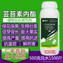 芸苔素内脂酯高效促根壮苗保花保果叶面肥农药云台生长调节剂 1000g