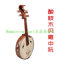 普及椿木大 中 小阮乐器 民族弹拨乐器专业演奏考级阮+阮包 酸枝木贝雕中 阮