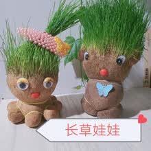 植物草头娃娃 价格 图片 品牌 怎么样 京东商城