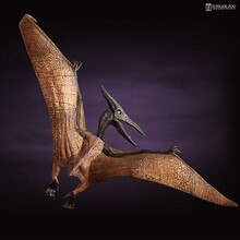 童德 塑胶恐龙玩具模型儿童仿真动物玩具男孩早教认知礼物史前侏罗纪恐龙世界动物 翼龙