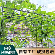 葡萄架子 价格 葡萄架子图片 京东