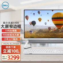 戴尔(DELL)灵越5400一体机IPS微边框大屏11代CPU办公商用家用网课前台电脑23.8英寸 白色 11代 G7505 核显 16G 1T固态 定制