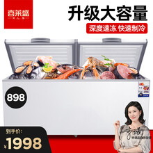 喜莱盛（XENESEN）卧式冰柜商用冷柜大容量冰箱家用双温冷冻柜雪柜展示柜冻肉柜雪糕柜卧柜岛柜 898全冷冻
