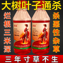 草甘膦除草剂除树一扫光杂草烂根连根死果园树百草灭草剂枯死农药 5000ml