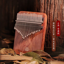 鲁儒拇指琴卡林巴琴手指琴21音拇指钢琴17音初学者男女生简单易学乐器 新款A类赞比亚花板式【21音+全套赠品】