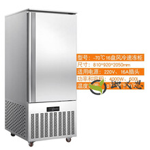 冷柜四门冰柜冰箱商用大容量烘焙风冷立式插盘式慕斯冷冻柜速冻机 （-70度）16盘速冻柜