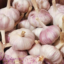 干蒜山东紫皮大蒜3/10斤蒜 5斤装