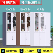 文件柜铁皮柜钢制办公室矮柜书柜资料密码带锁凭证档案员工更衣柜子 领道（LINGDAO） 套色五门更衣柜 1.3mm