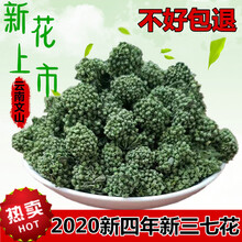 杞里香 三七花茶云南500g野生四年田七花文山特级三七花茶泡水喝功效 2020特级4年花100克
