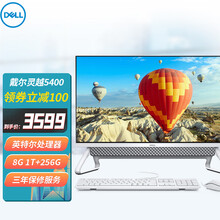 戴尔(DELL)灵越5400一体机电脑23.8英寸办公家用微边框大屏商务学习网课台式电脑全套 英特尔 11代G7505 8G 1T+256G 银 定制