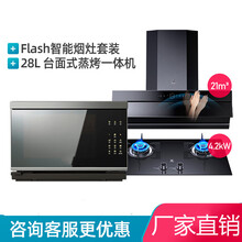 VSO2802蒸烤箱家用台式智能烘焙神器全自动蒸烤一体机 标努 浅灰色