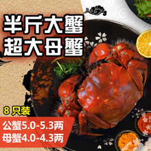 【活蟹】阳澄凯馨大闸蟹 现货鲜活特大螃蟹 活蟹公蟹可全母蟹活体 海鲜水产生鲜礼盒 公蟹5.0-5.3两母蟹4.0-4.3两 4对八只