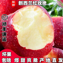 （现摘/顺丰）苹果新西兰进口红玫瑰 脆甜水果新鲜当季孕妇皇后萍果 精品果 20个(120g+)