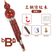 杉贝 SHANBEI 葫芦丝乐器初学者c调降b调小学生儿童演奏型防摔胡芦丝抖音同款 【三铜加固款】仿红木降B调套餐二