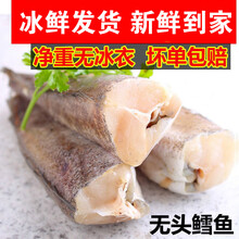 【精品冷运】去头鳕鱼新鲜冷冻无头鱼狭鳕鱼明太鱼海鲜水产深海鳕鱼大棒鱼柴鱼 康如四云 一斤装【试吃装】
