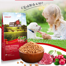诺里斯泰迪贵宾犬专用粮 2.5kg5斤天然牛肉味幼犬成犬狗粮美毛 牛肉味 6个月以上