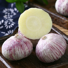 【大姚县助农馆】云南紫皮独头大蒜 高原新鲜干独蒜头 多瓣蒜 中大果 农民露天自种 独蒜4斤（直径3.5cm以上）