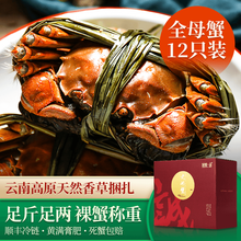 【活蟹】诚蟹一品 大闸蟹鲜活 全母蟹12只装 螃蟹生鲜现货特大 中秋国庆节日水产礼盒 全母蟹1.9-2.2两 12只
