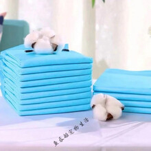 狗狗尿垫宠物尿不湿泰迪尿片猫咪尿布加厚隔尿垫仓鼠兔纸尿垫清洁 搭啵兔 S-33x45 100片 轻薄款