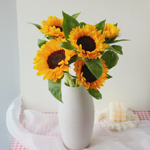 云南藏霞向日葵鲜花家居水养七夕礼物 基地直发 中花向日葵5枝