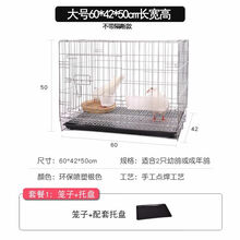 加粗鸽子笼鸽子用品用具鸽子配对笼养殖笼大型白鸽信鸽折叠笼 普通银色60*42*48套餐1
