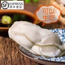 顺丰 现剥生蚝肉海蛎子牡蛎肉生鲜干海产品扇贝肉 2500g(5斤5包)