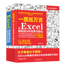 左手数据右手图表：从Excel数据处理到分析结果图表可视化 （套