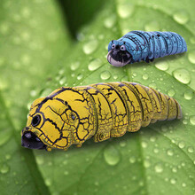 羽凡鸟 仿真遥控昆虫小动物电动红外感应昆虫宠物创意抖音送儿童的礼物新奇玩具模型爆笑整蛊毛毛虫 紫色尖嘴虫 遥控款