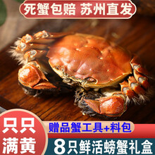 【活蟹】8只阳澄东湖大闸蟹鲜活螃蟹现货海鲜水产礼盒装 全公蟹：5.5-5.8两（8只）