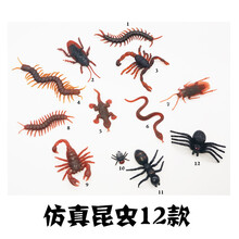愚人节仿真虫子玩具蜘蛛蚂蚁蜈蚣蝎子壁虎苍蝇吓人假蟑螂整人道具 12款仿真昆虫 5只