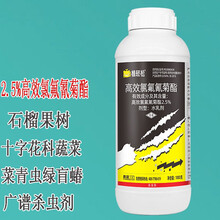 勇冠 植轻松 高效氯氟氰菊酯 2.5%功夫菊酯 石榴果树果园绿盲蝽十字花科蔬菜菜青虫 广谱农用杀虫剂 1000克/瓶*1瓶