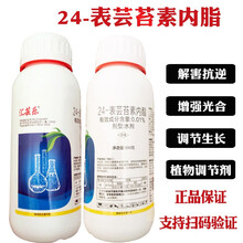 汇芸乐0.01%芸苔素内脂内酯解药害保花保果壮苗 植物生长调节农药 500ml