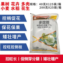 矮壮剂植物矮壮素菊花通用花木水仙花花卉多肉多效唑矮胖素多效挫生长调节剂 200g