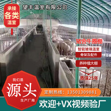 鲸榜养殖种植猪鸡鸭舍牛羊马圈农业用蔬菜钢管热镀锌椭圆管骨架大暖棚子智能玻璃连体栋温室配件全套设备定制 温室大棚遮阳电机