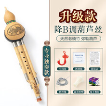 天然紫竹葫芦丝乐器C调降B调初学者儿童专业演奏型成人小学生专用 【专业独奏系列】楠竹降B调+送好礼