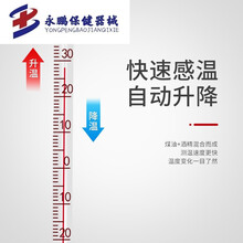 水温计红水温度计玻璃棒式测油温工业实验酒精水银高精度家用表 国标印刷0-50度(买二一)挂绳