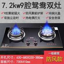 日本樱花煤气灶双灶家用天然气嵌入式台式液化气燃气灶九枪猛火灶 猛火7.2kw九头鸳鸯顶配款双定时 液化气