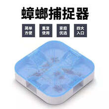 蟑螂捕捉器诱捕神器蟑螂屋药全窝端抓蟑螂盒强力灭杀蟑螂贴 3个单层捕捉器【送60包诱饵】