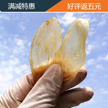 熙圣堂*鸡蛋胶黄花胶鱼胶小鱼胶干货鸡蛋鱼胶鱼鳔鱼肚干货鱼泡煲汤 鸡-蛋-黄花胶（SSS级-250g）