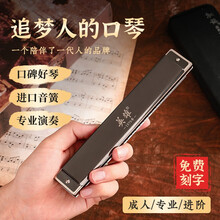 英雄单孔单音口琴24孔C调单排孔初学者学生入门中老年人高级男士 单孔单音24孔C调【树脂琴格】