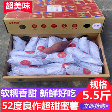 52度良作红薯 粗粮生地瓜蜜薯香甜软糯好吃烤番薯新鲜果蔬 5.5斤 中果