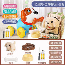 儿童小狗玩具狗狗走路会叫 电动智能机器益智男孩女孩1-2岁宝宝 【双充狗套装】拉线狗+小金毛