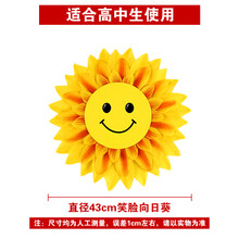 十个装六一表演向日葵太阳花运动会入场式创意道具开幕式舞蹈道具 43cm太阳花【10个装】
