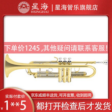 【工厂旗舰店】星海 XT-100/120降b调小号乐器专业学生考级儿童成人初学练习入门款学校乐队 XT-120型【配件齐全收货即用】